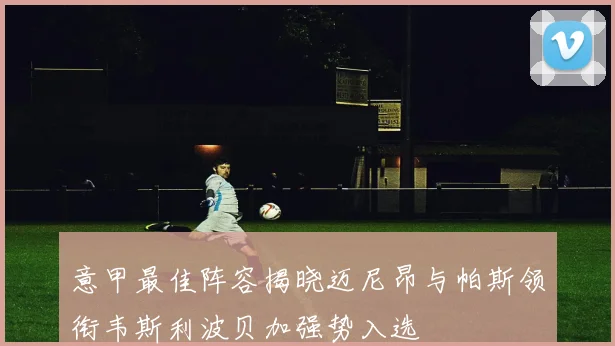 意甲最佳阵容揭晓迈尼昂与帕斯领衔韦斯利波贝加强势入选