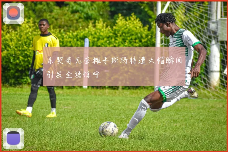 东契奇无奈摊手斯玛特遭大帽瞬间引发全场惊呼